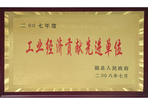 工业经济贡献先进单位